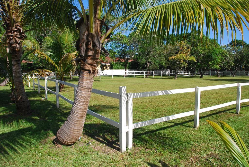 La Finca Miami Ngoại thất bức ảnh