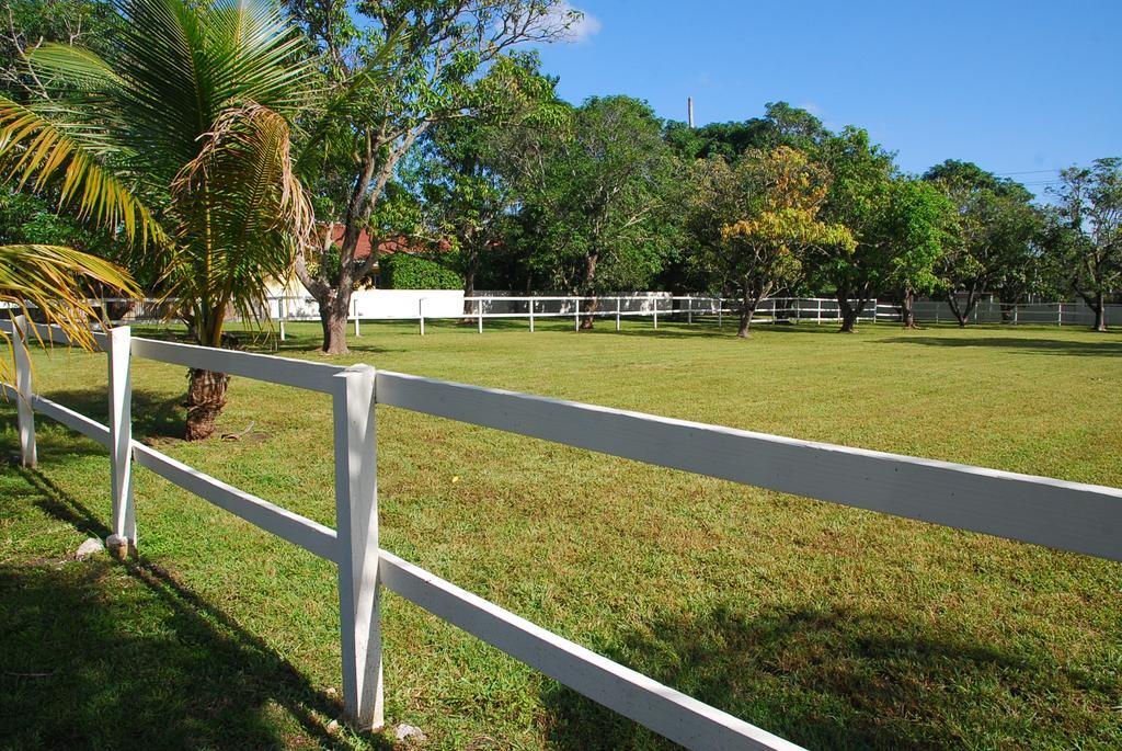 La Finca Miami Ngoại thất bức ảnh